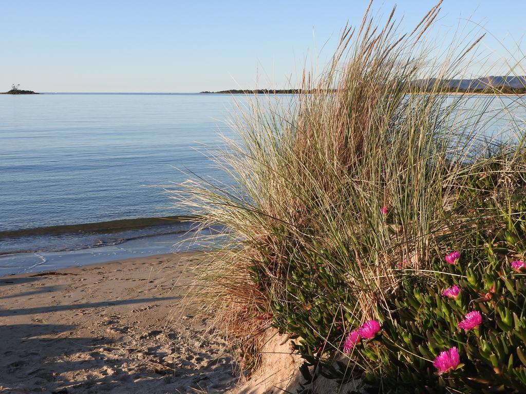 Moomba Holiday And Caravan Park Hotel Port Sorell ภายนอก รูปภาพ